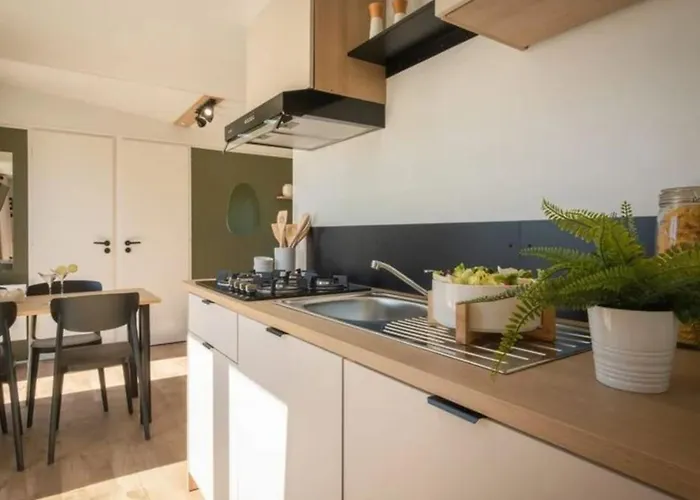 Mobil 5 Pers Avec Terrasse A - Api-1-52-1655 营地 阿格德